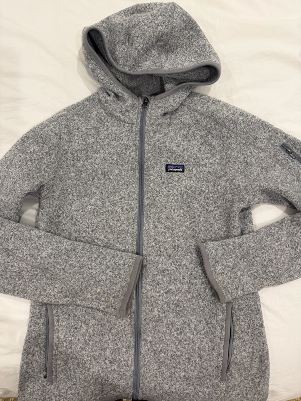 Patagonia Light Gray Hooded Fleece with Logo